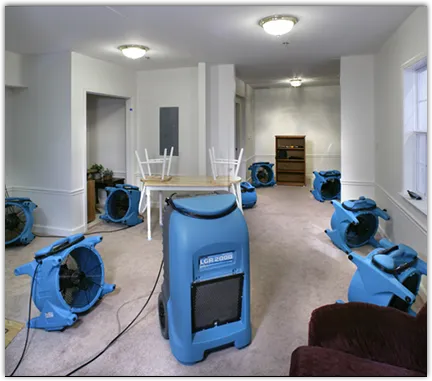 Water Damage Assessment in Moss Bluff, LA