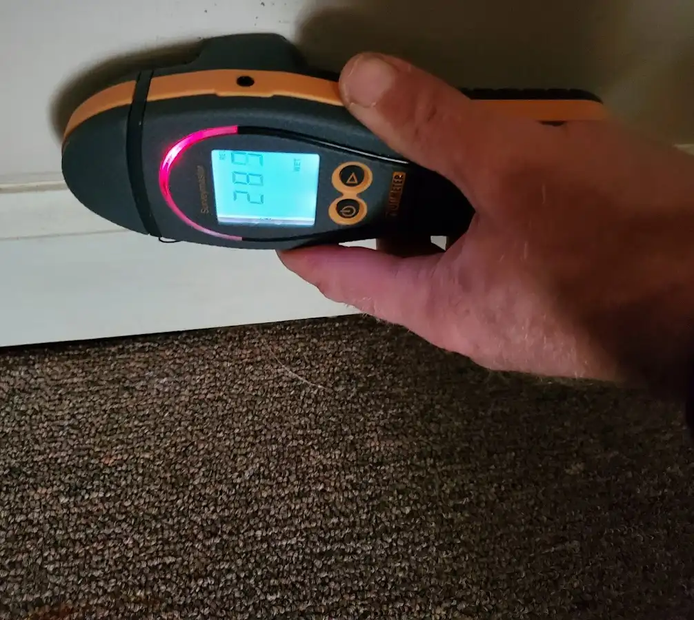 Moisture detection at baseboard during Sewage Cleanup & Sanitation in Moss Bluff
